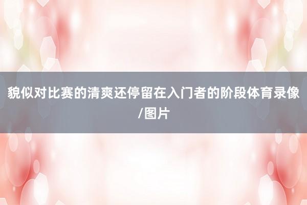貌似对比赛的清爽还停留在入门者的阶段体育录像/图片