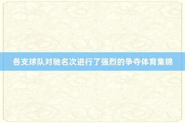 各支球队对驰名次进行了强烈的争夺体育集锦