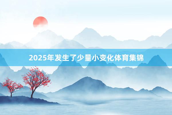 2025年发生了少量小变化体育集锦