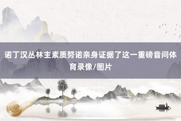 诺丁汉丛林主素质努诺亲身证据了这一重磅音问体育录像/图片