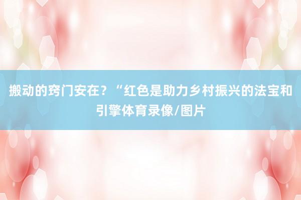 搬动的窍门安在？“红色是助力乡村振兴的法宝和引擎体育录像/图片