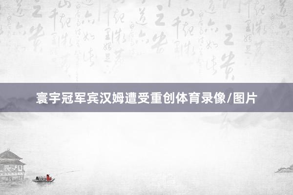 寰宇冠军宾汉姆遭受重创体育录像/图片