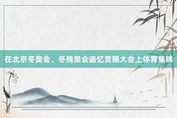 在北京冬奥会、冬残奥会追忆赏赐大会上体育集锦