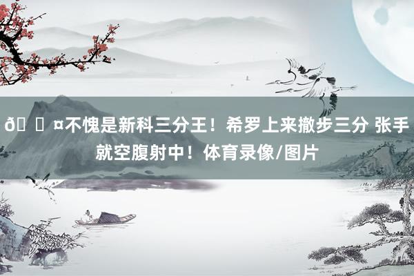 😤不愧是新科三分王！希罗上来撤步三分 张手就空腹射中！体育录像/图片
