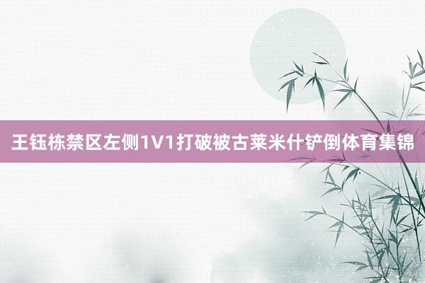 王钰栋禁区左侧1V1打破被古莱米什铲倒体育集锦