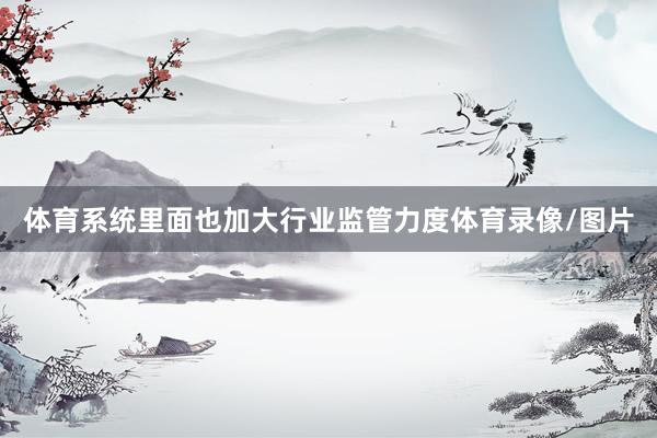 体育系统里面也加大行业监管力度体育录像/图片