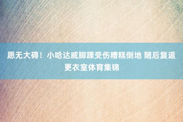 愿无大碍！小哈达威脚踝受伤糟糕倒地 随后复返更衣室体育集锦