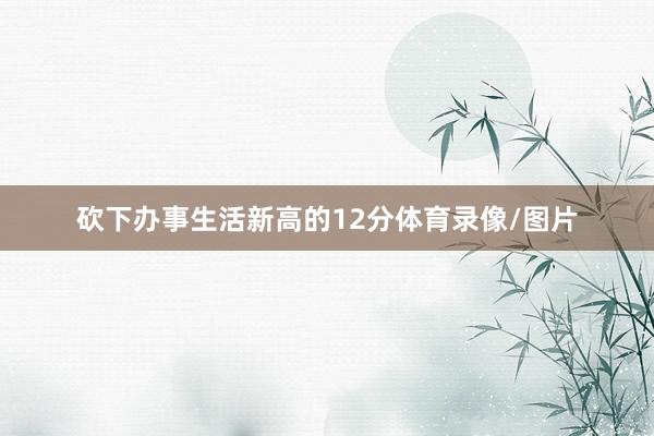 砍下办事生活新高的12分体育录像/图片