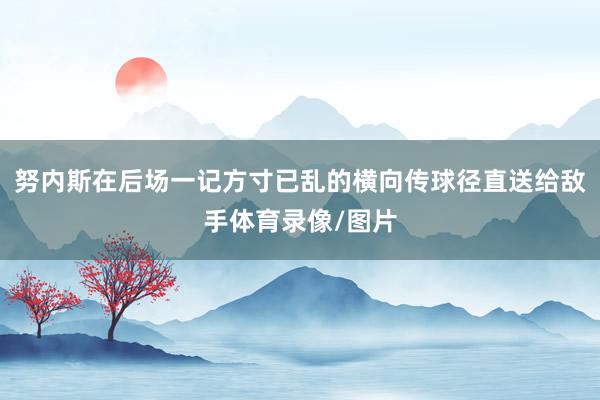 努内斯在后场一记方寸已乱的横向传球径直送给敌手体育录像/图片