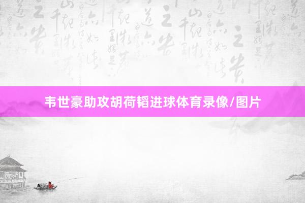 韦世豪助攻胡荷韬进球体育录像/图片
