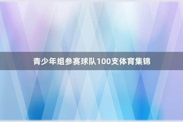 青少年组参赛球队100支体育集锦