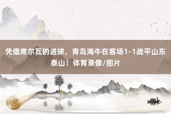 凭借席尔瓦的进球，青岛海牛在客场1-1战平山东泰山！体育录像/图片