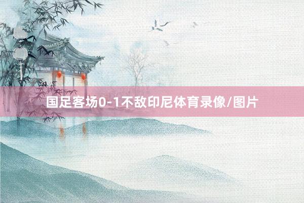 国足客场0-1不敌印尼体育录像/图片