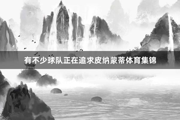 有不少球队正在追求皮纳蒙蒂体育集锦