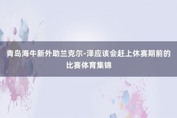 青岛海牛新外助兰克尔-泽应该会赶上休赛期前的比赛体育集锦