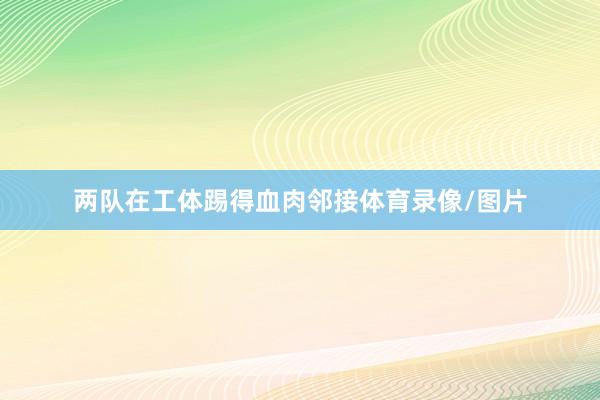 两队在工体踢得血肉邻接体育录像/图片