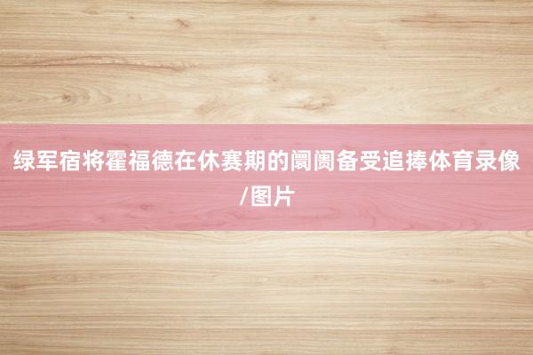 绿军宿将霍福德在休赛期的阛阓备受追捧体育录像/图片