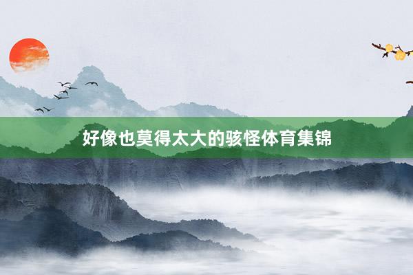 好像也莫得太大的骇怪体育集锦