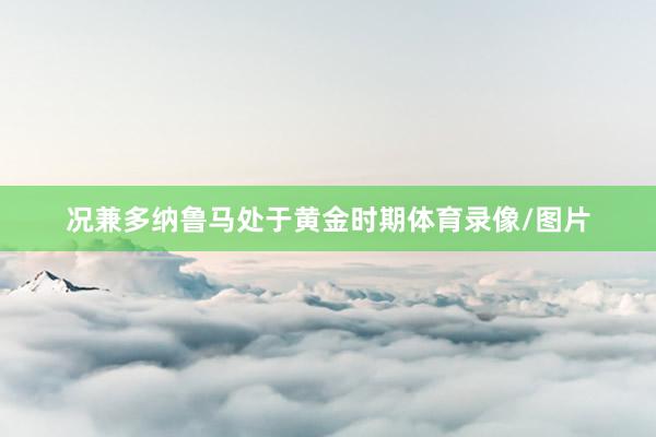 况兼多纳鲁马处于黄金时期体育录像/图片