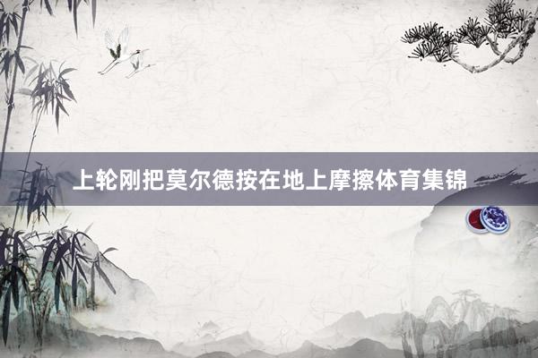 上轮刚把莫尔德按在地上摩擦体育集锦