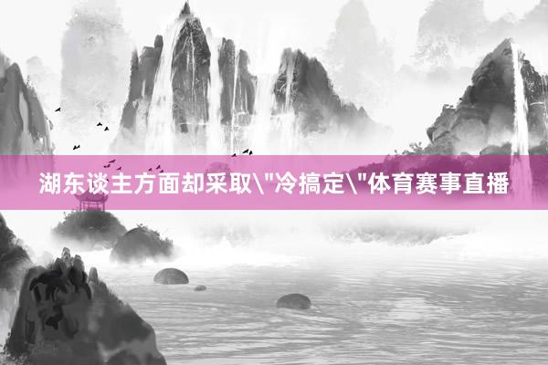 湖东谈主方面却采取