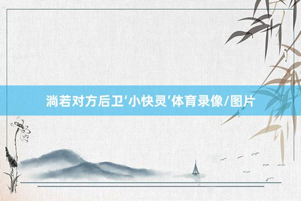 淌若对方后卫‘小快灵’体育录像/图片