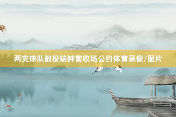 两支球队数极端钟前收场公约体育录像/图片