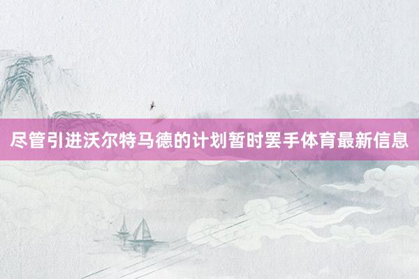 尽管引进沃尔特马德的计划暂时罢手体育最新信息