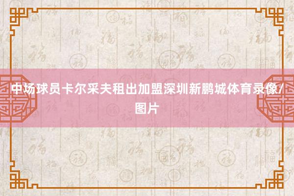 中场球员卡尔采夫租出加盟深圳新鹏城体育录像/图片