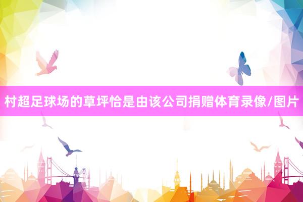 村超足球场的草坪恰是由该公司捐赠体育录像/图片