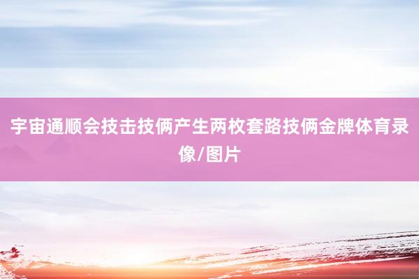 宇宙通顺会技击技俩产生两枚套路技俩金牌体育录像/图片