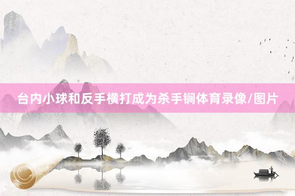台内小球和反手横打成为杀手锏体育录像/图片