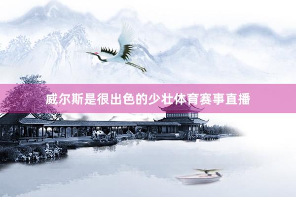 威尔斯是很出色的少壮体育赛事直播
