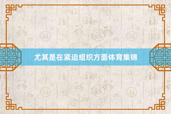 尤其是在紧迫组织方面体育集锦