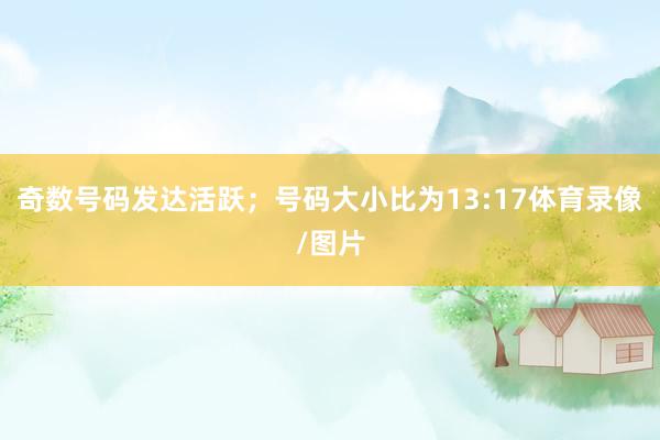 奇数号码发达活跃；号码大小比为13:17体育录像/图片
