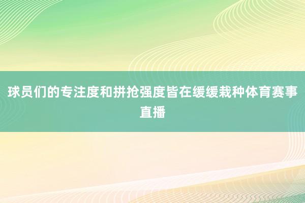 球员们的专注度和拼抢强度皆在缓缓栽种体育赛事直播