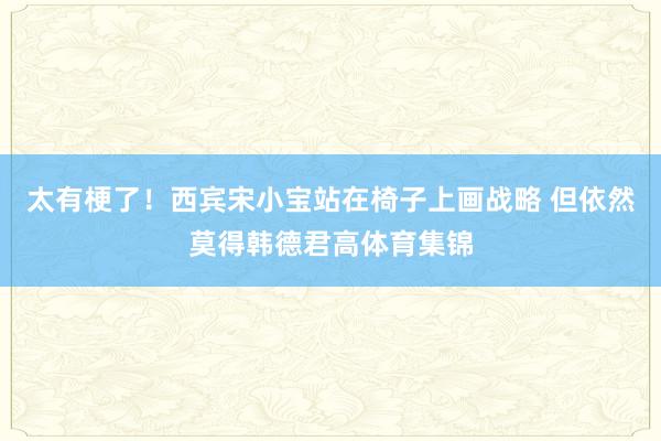 太有梗了!西宾宋小宝站在椅子上画战略 但依然莫得韩德君高体育集锦