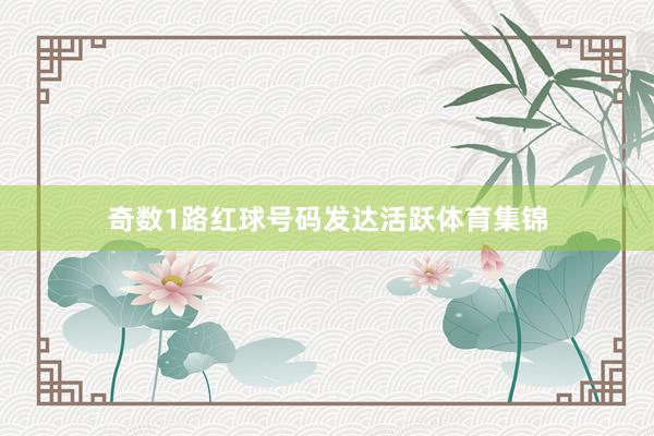 奇数1路红球号码发达活跃体育集锦