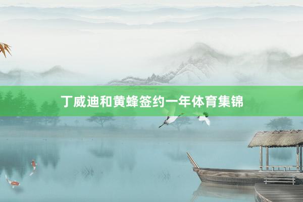 丁威迪和黄蜂签约一年体育集锦