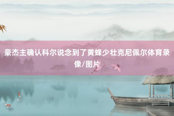 豪杰主确认科尔说念到了黄蜂少壮克尼佩尔体育录像/图片