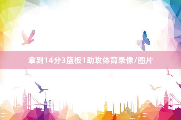 拿到14分3篮板1助攻体育录像/图片