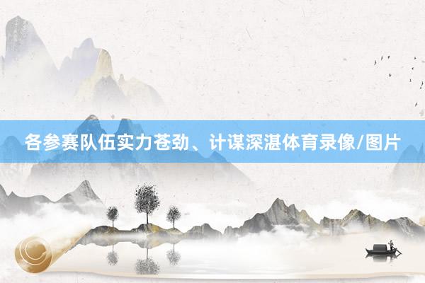 各参赛队伍实力苍劲、计谋深湛体育录像/图片
