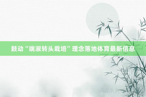 鼓动“端淑转头栽培”理念落地体育最新信息