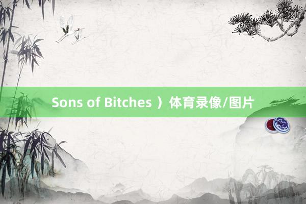 Sons of Bitches ）体育录像/图片