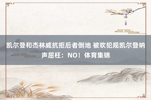 凯尔登和杰林威抗拒后者倒地 被吹犯规凯尔登呐声屈枉：NO！体育集锦