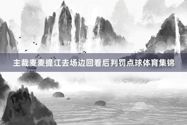 主裁麦麦提江去场边回看后判罚点球体育集锦