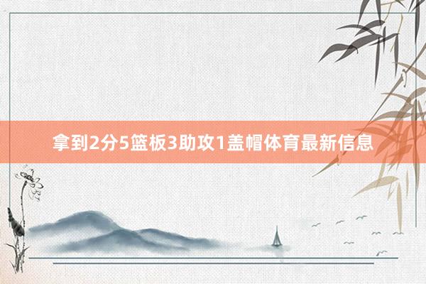 拿到2分5篮板3助攻1盖帽体育最新信息