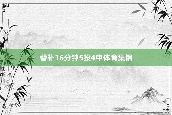 替补16分钟5投4中体育集锦