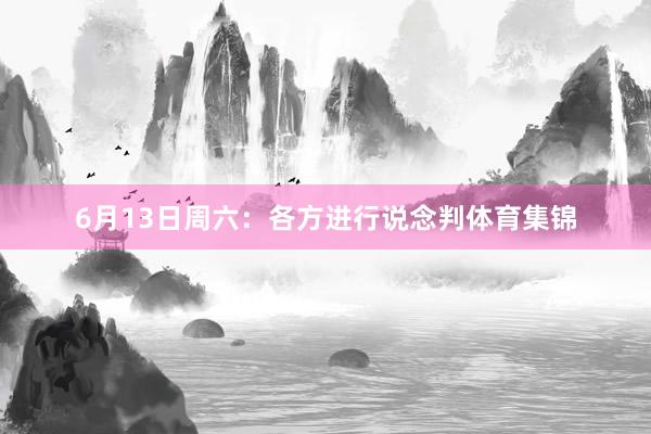 6月13日周六：各方进行说念判体育集锦