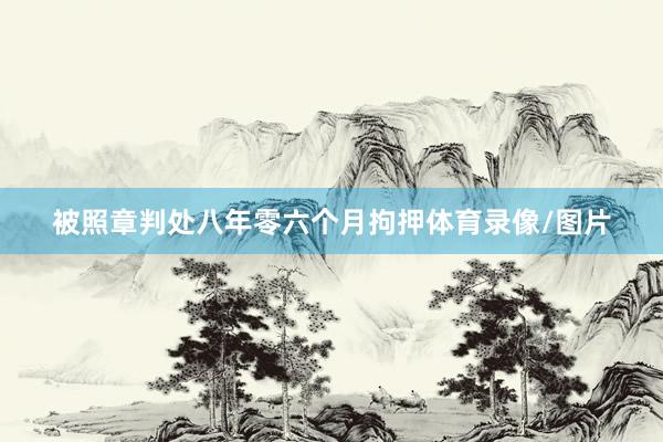 被照章判处八年零六个月拘押体育录像/图片